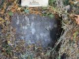 image of grave number 363426